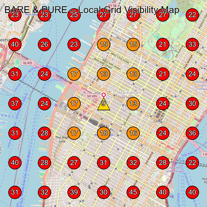 BARE & PURE GeoGrid visibility map for Skin Care Clinic in New York